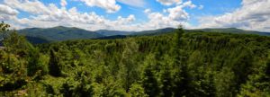 stunning photo of summer in the Smoky Mountains