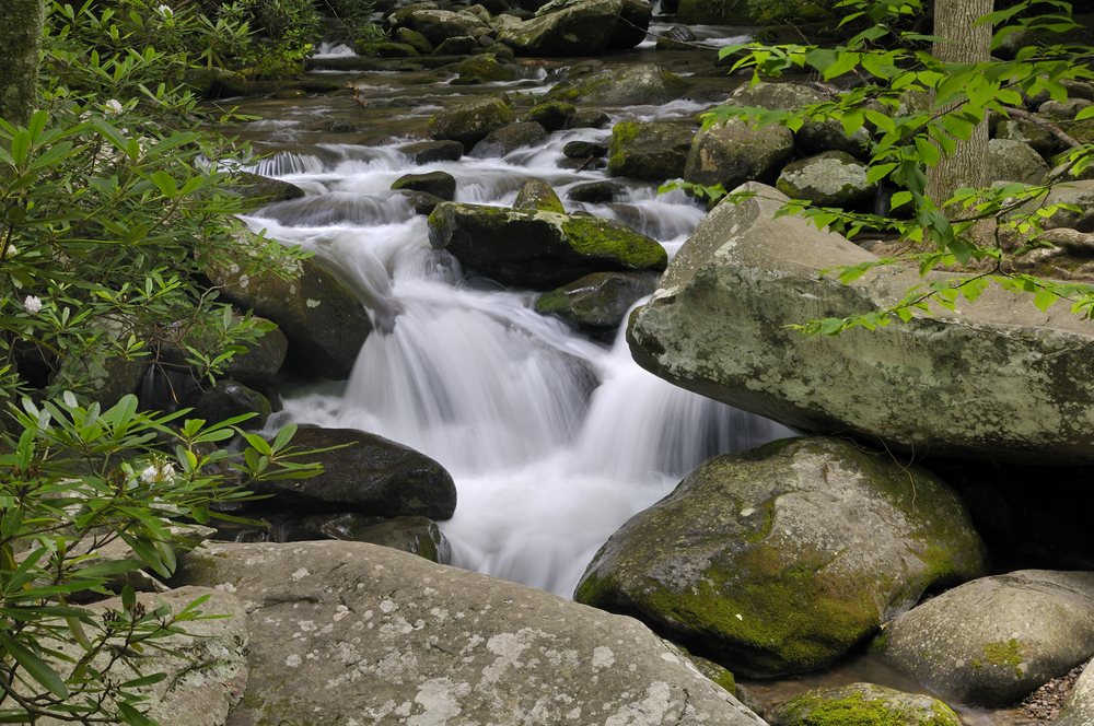 Great Smoky Mountains near Willow Brook Lodge in Pigeon Forge