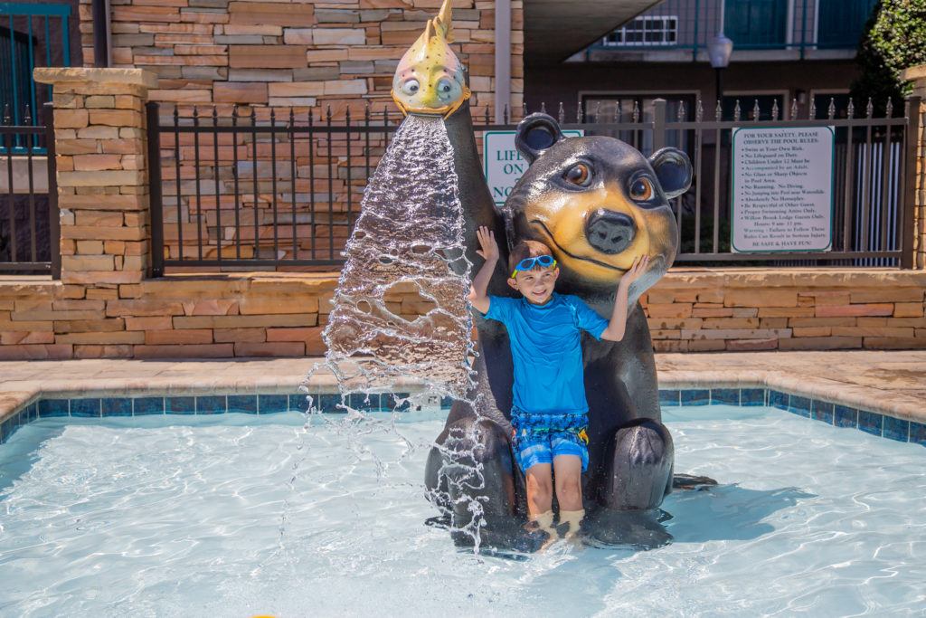 Hotels with water slides in Downtown Pigeon Forge Willow Brook Lodge