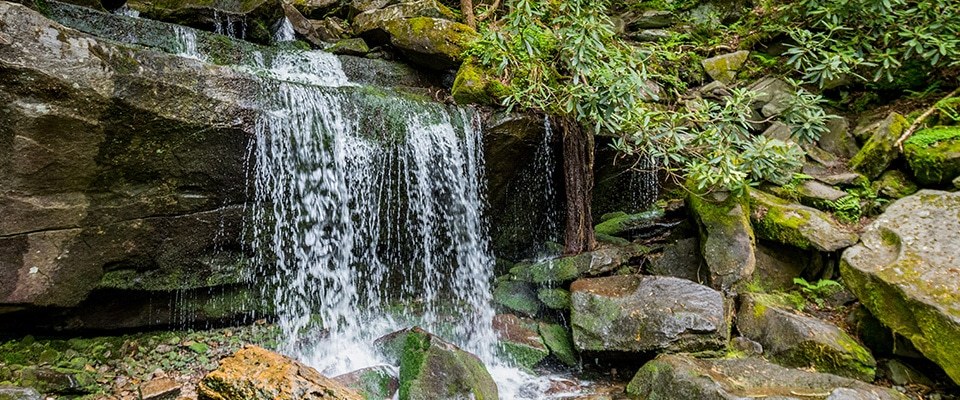 Waterfalls near Willow Brook Lodge