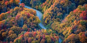 newfound gap drive in the fall